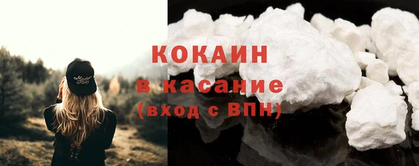 МДПВ Пересвет