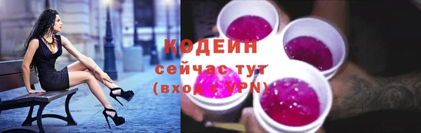 дурь Пестово