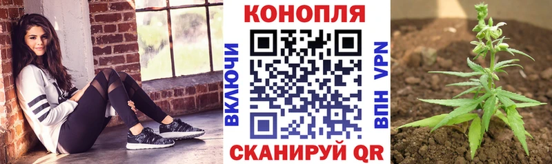 кракен зеркало  где продают   Оханск  Марихуана Bruce Banner 
